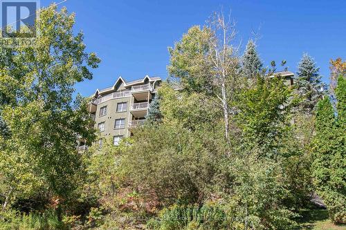 110 - 24 Ontario Street, Bracebridge (Macaulay), ON - Outdoor