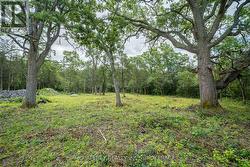 0 COUNTY RD 9  Greater Napanee (Greater Napanee), ON K7R 3K8