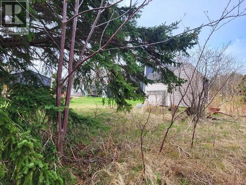 394 Main Street, Northern Arm, NL 