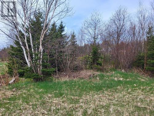 394 Main Street, Northern Arm, NL 