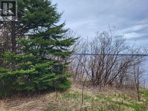 394 Main Street, Northern Arm, NL 