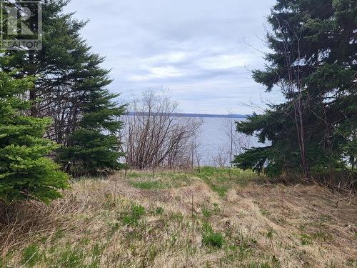 394 Main Street, Northern Arm, NL 