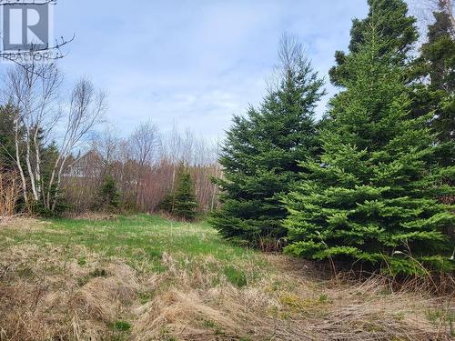 394 Main Street, Northern Arm, NL 