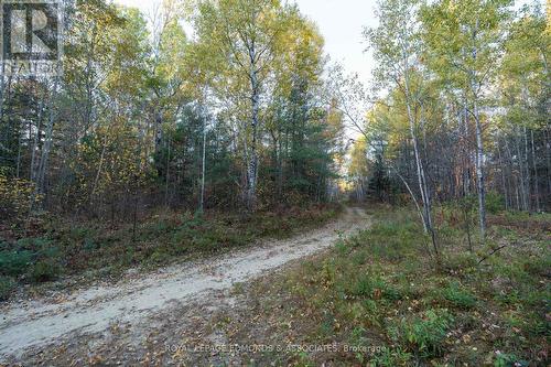00 Highway 17 Highway, Laurentian Hills, ON 