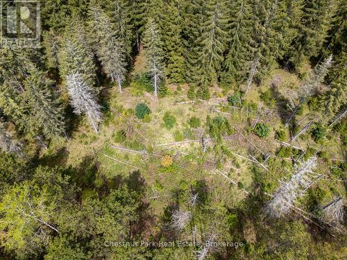 Pt 2 Lt 24 4Th Line E, Mulmur, ON 