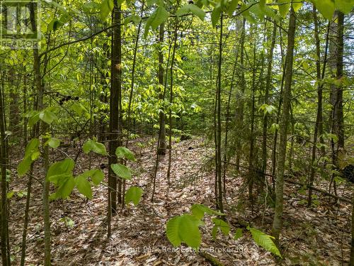 Pt 2 Lt 24 4Th Line E, Mulmur, ON 