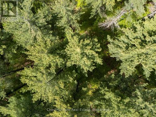 Pt 2 Lt 24 4Th Line E, Mulmur, ON 