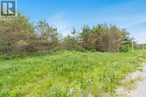 Lot 29 Rue Eric, Tiny, ON 