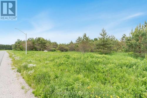 Lot 31 Rue Eric, Tiny, ON 