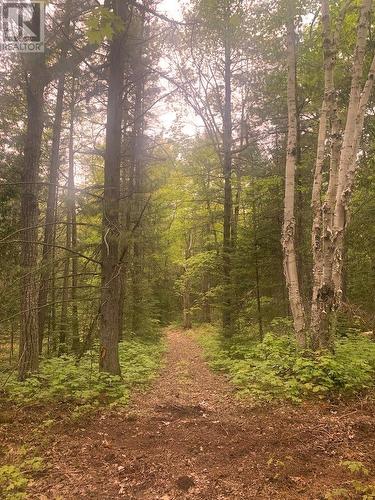 Pl25C1Allan Gangster'S Line, Gore Bay, ON 