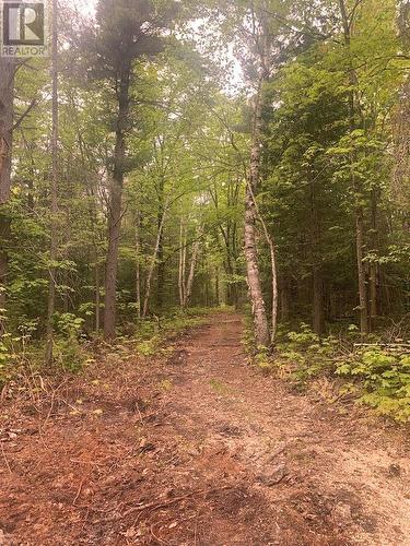 Pl25C1Allan Gangster'S Line, Gore Bay, ON 