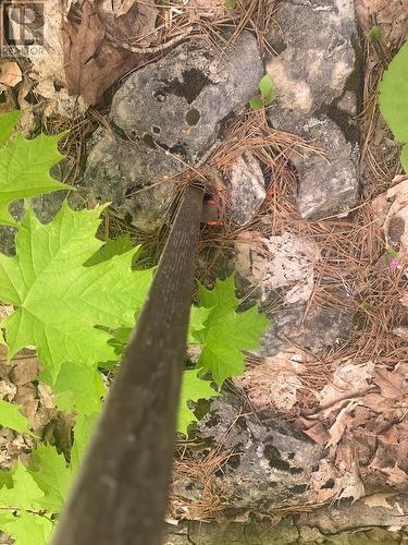 Pl25C1Allan Gangster'S Line, Gore Bay, ON 