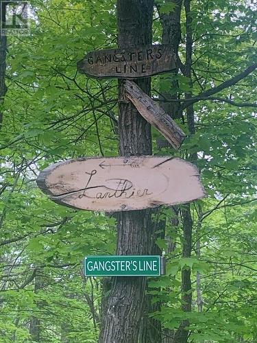 Pl25C1Allan Gangster'S Line, Gore Bay, ON 