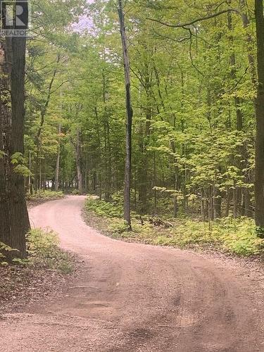 Pl25C1Allan Gangster'S Line, Gore Bay, ON 