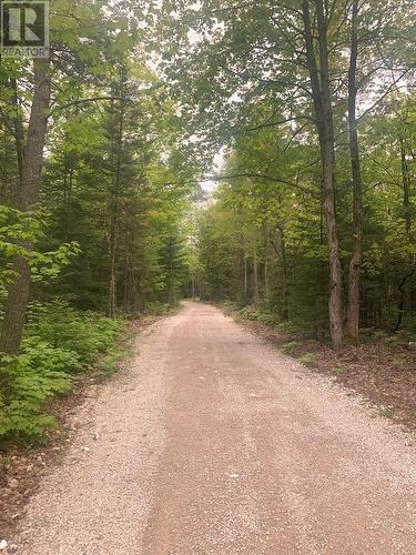 Pl25C1Allan Gangster'S Line, Gore Bay, ON 