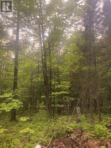 Pl25C1Allan Gangster'S Line, Gore Bay, ON 