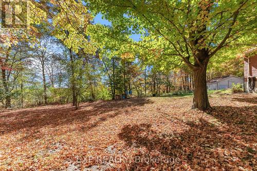 110 Meyers Creek Road, Quinte West (Sidney Ward), ON - Outdoor