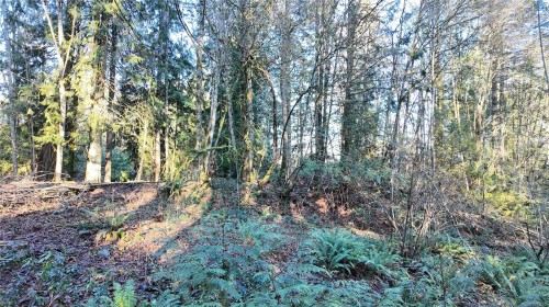 Lot 1 Banks Rd, Duncan, BC 