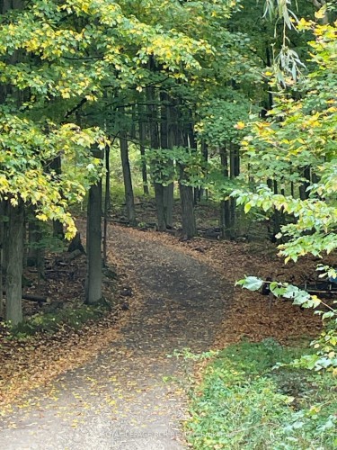 875122 5Th Line E, Mono, ON - Outdoor