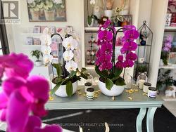 9 - 332 MAIN STREET N  Brampton, ON L6V 1P8