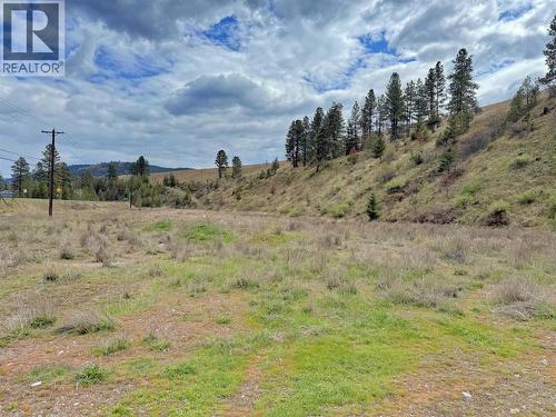 308 Highway 3 Highway, Princeton, BC 