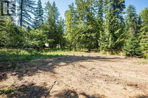 6010 Harrop-Procter Road, Nelson, BC - Outdoor
