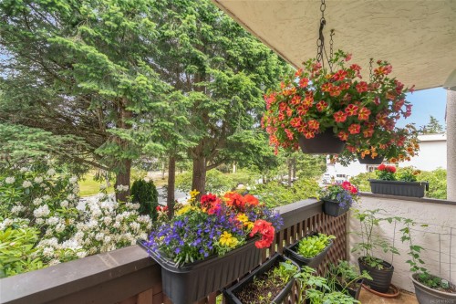 201-309 Morison Ave, Parksville, BC - Outdoor