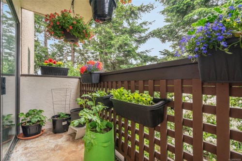 201-309 Morison Ave, Parksville, BC - Outdoor