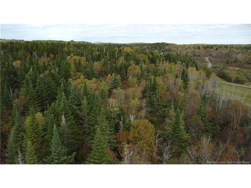 Lot Sam Hatt Rd, Letang, NB 