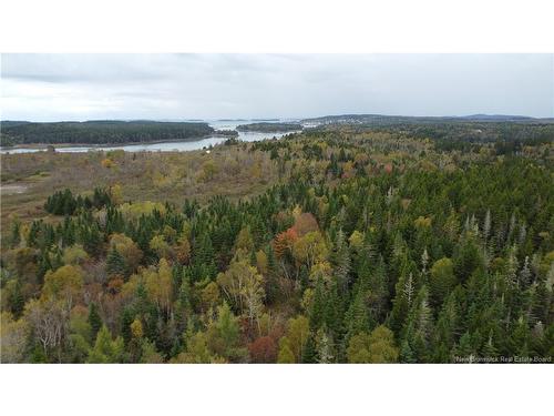 Lot Sam Hatt Rd, Letang, NB 