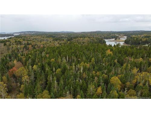 Lot Sam Hatt Rd, Letang, NB 