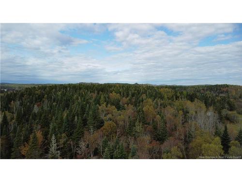 Lot Sam Hatt Rd, Letang, NB 