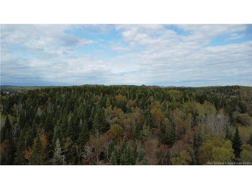 Lot Sam Hatt Rd, Letang, NB 