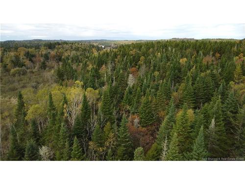 Lot Sam Hatt Rd, Letang, NB 