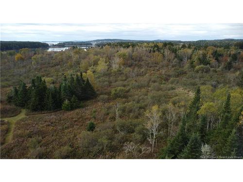 Lot Sam Hatt Rd, Letang, NB 