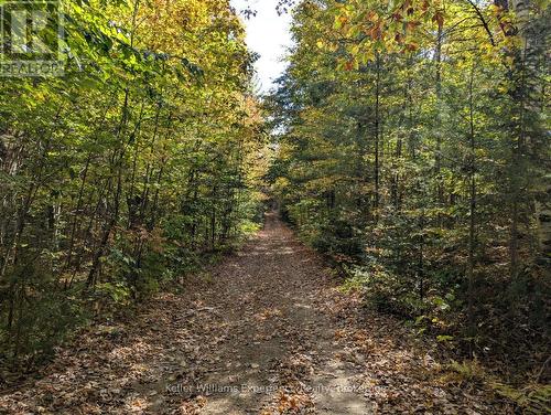 road allowance - 0 Langford Road, Lake Of Bays (Mclean), ON 