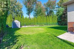 look at that back drop! - 