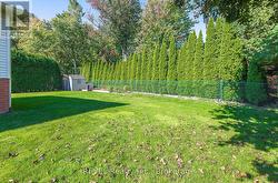 gorgeous back drop in back yard - complete privacy - 