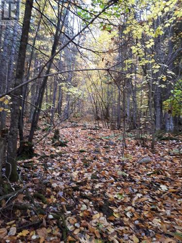 969 Chevis Rd, Iron Bridge, ON 