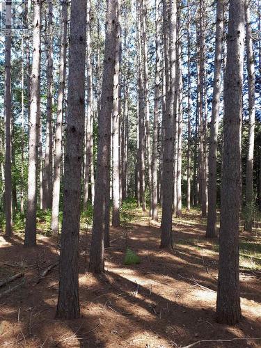 969 Chevis Rd, Iron Bridge, ON 