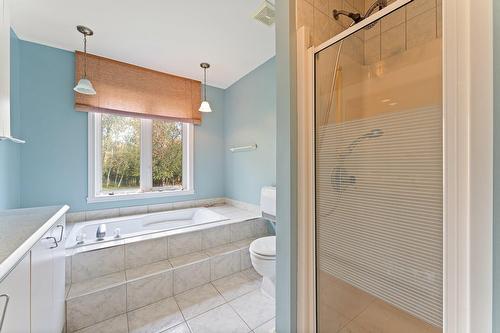 Salle de bains - 261 Rue Poulin, Shefford, QC - Indoor Photo Showing Bathroom