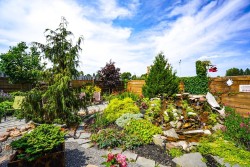 Courtyard - 