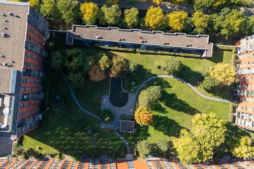 Jardin - 202-551 Rue De La Montagne, Montréal (Ville-Marie), QC - Outdoor