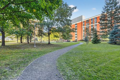 Jardin - 202-551 Rue De La Montagne, Montréal (Ville-Marie), QC - Outdoor