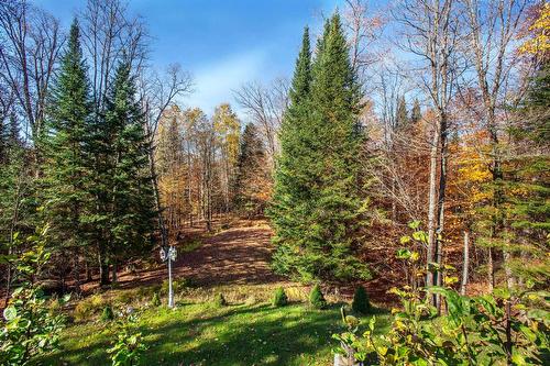 Backyard - 512 Ch. Des Boisés, Mont-Tremblant, QC - Outdoor With View