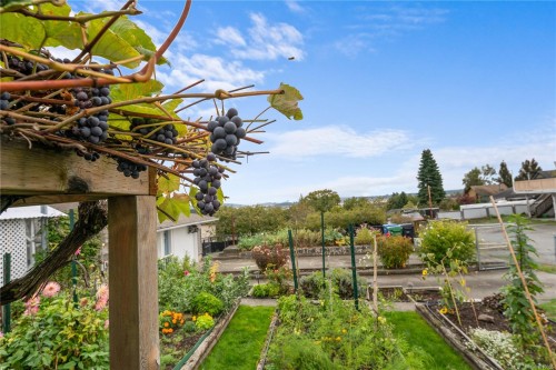 609 Milton St, Nanaimo, BC 