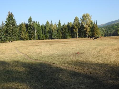 1852 Trinity Valley Road, Lumby, BC - Outdoor With View