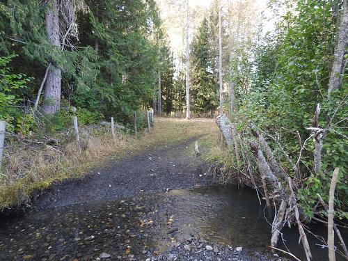 1852 Trinity Valley Road, Lumby, BC - Outdoor