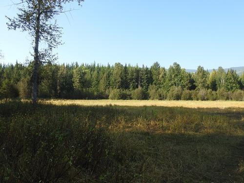 1852 Trinity Valley Road, Lumby, BC - Outdoor With View