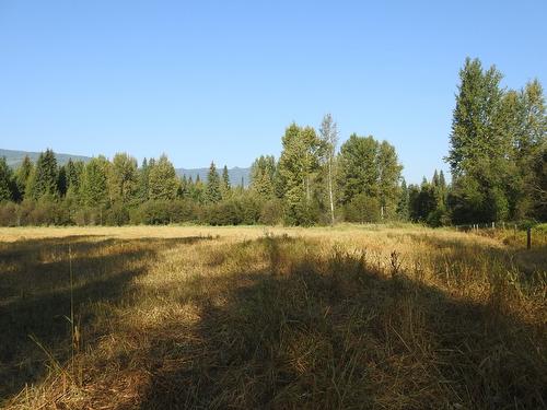 1852 Trinity Valley Road, Lumby, BC - Outdoor With View